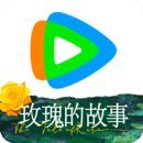 常见爬行动物名字大全